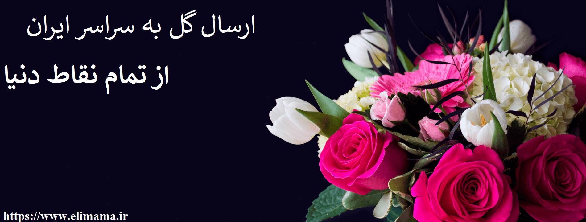 ارسال گل آپارتمانی به سراسر ایران